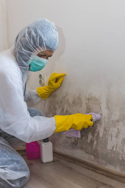 Best Crawl Space Mold Remediation  in Northlake, TX