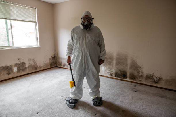 Best Mold Damage Restoration  in Northlake, TX